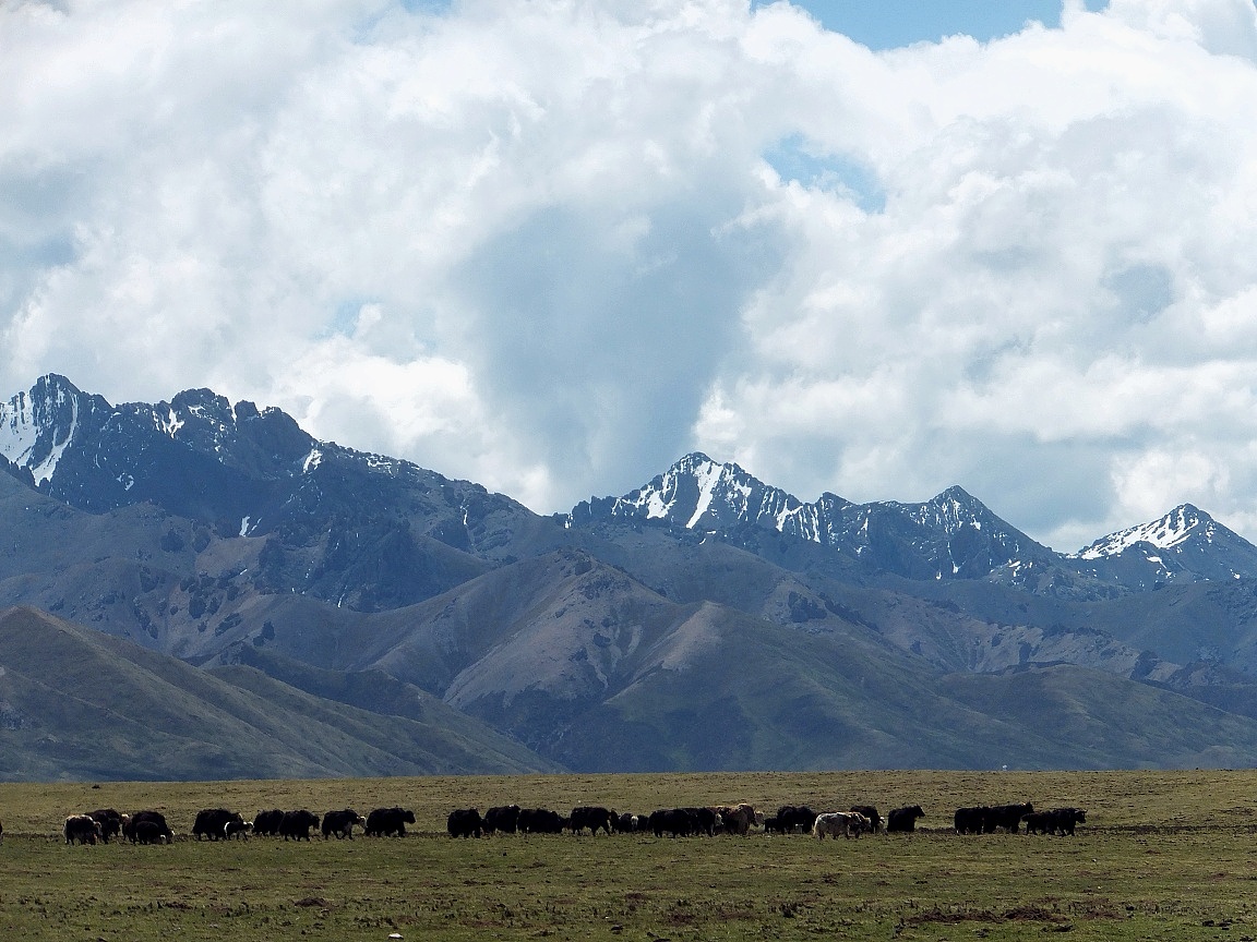 北上西行：青海纪行（图ZNTExMTQyMDQ=） - 风光摄影 - 站酷设计师KIKYOU85原创素材 - 站酷ZCOOL