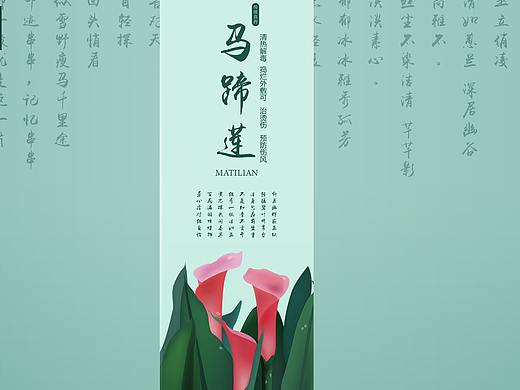 带有生肖名字的中草药