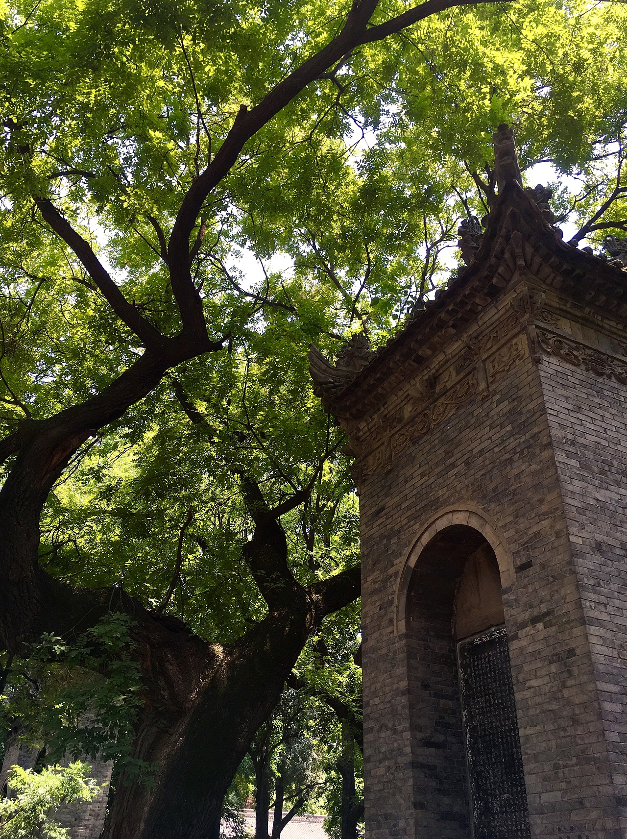旅途－西安（图ZNTU0NjgwNjQ=） - 风光摄影 - 站酷设计师谢陶原创素材 - 站酷ZCOOL