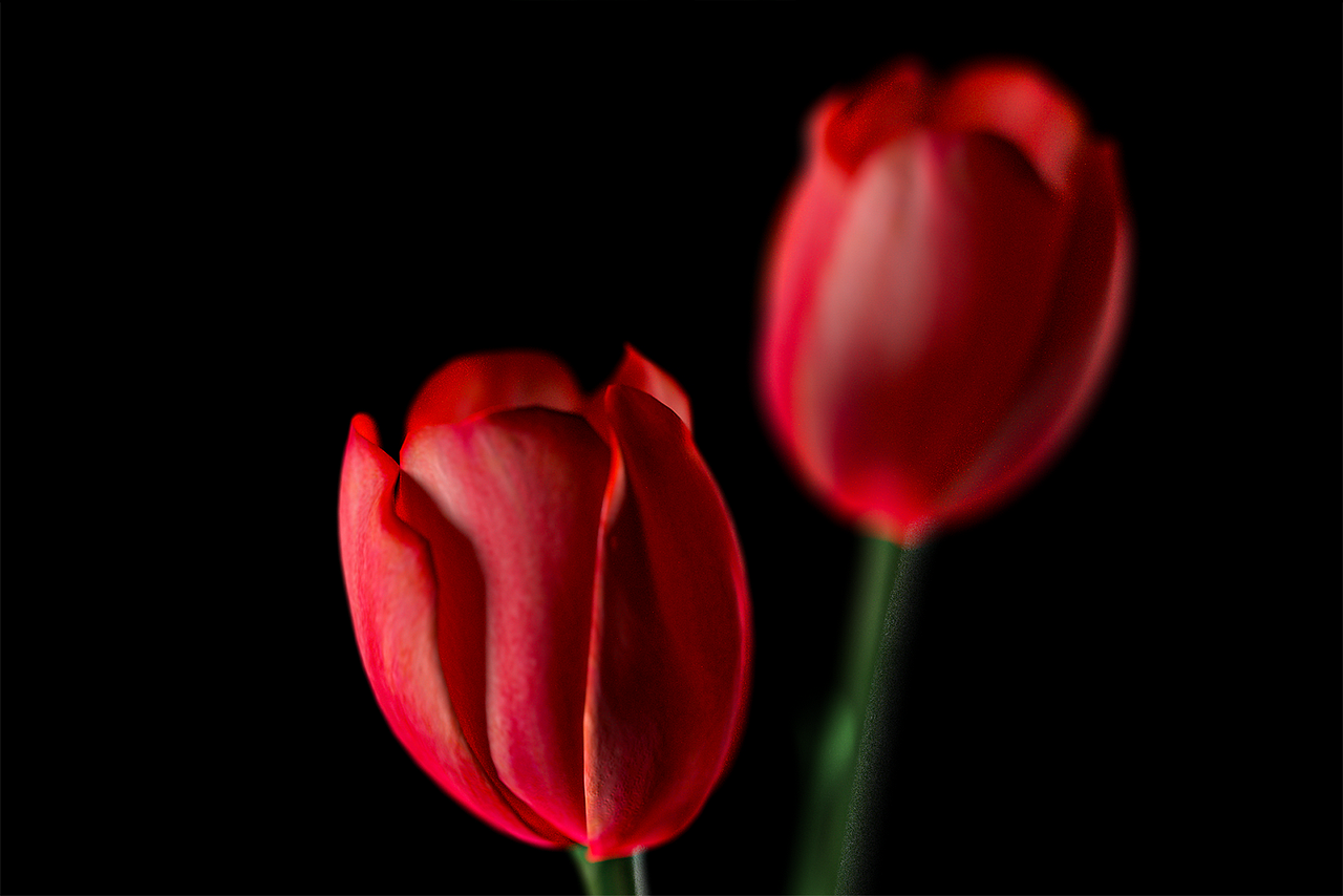 8月-9月63张C4D+OCTANE渲染图合集（图ZMjczMjE1MTc2） - 其他三维 - 站酷设计师火星7号影像原创素材 - 站酷ZCOOL