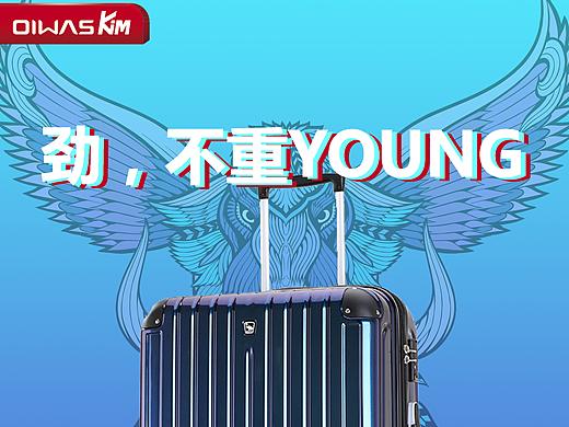 爱华仕海报
