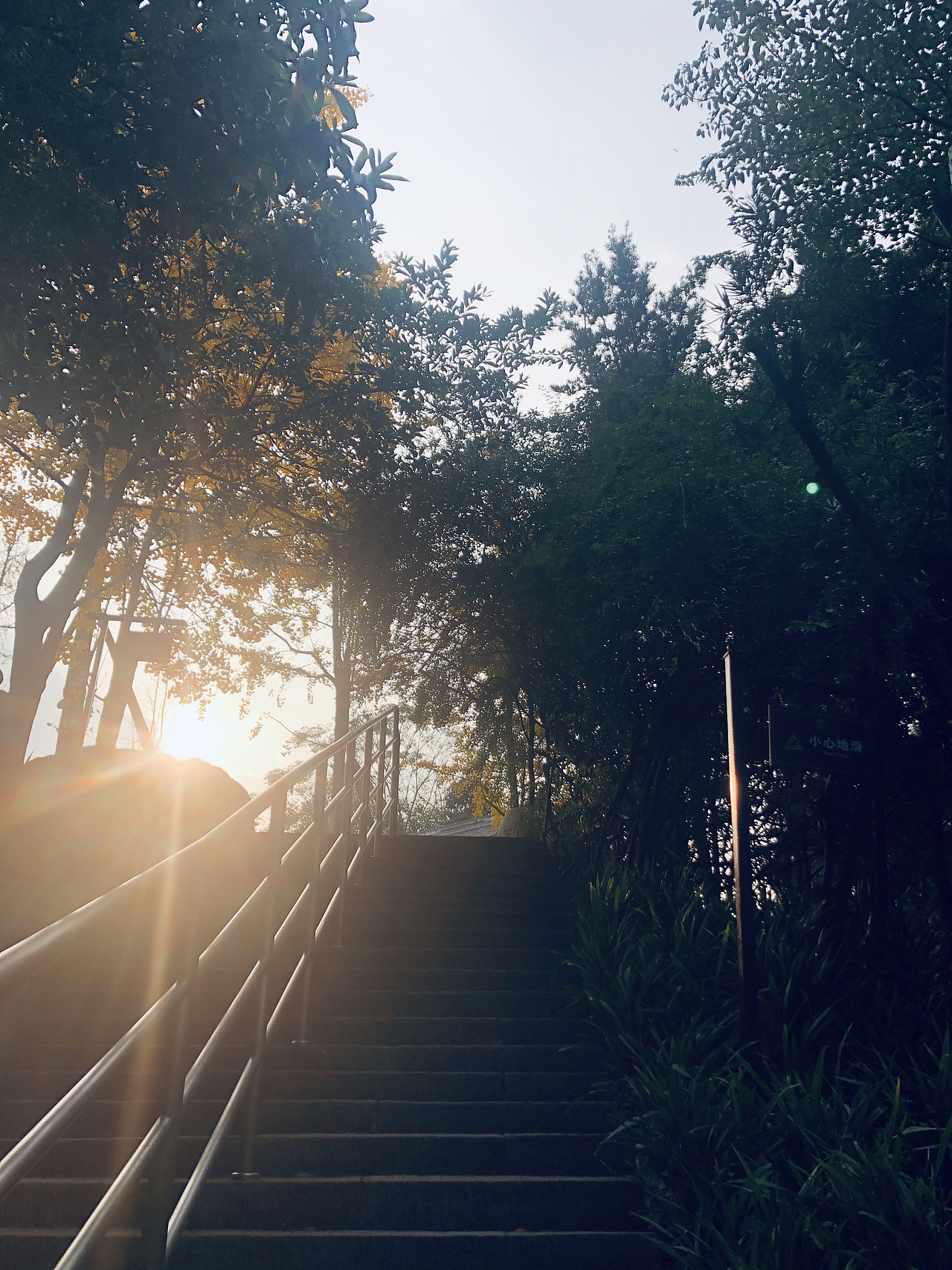 成都|浣花溪公园