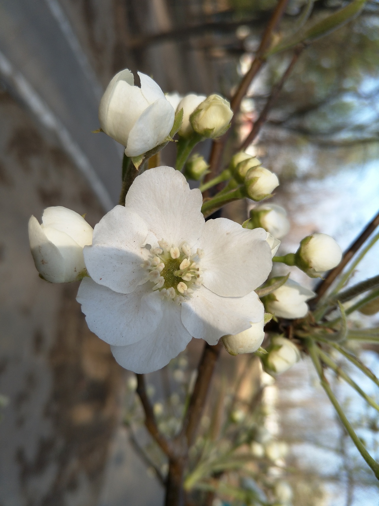 oh~ - 原创作品 - 站酷(zcool)