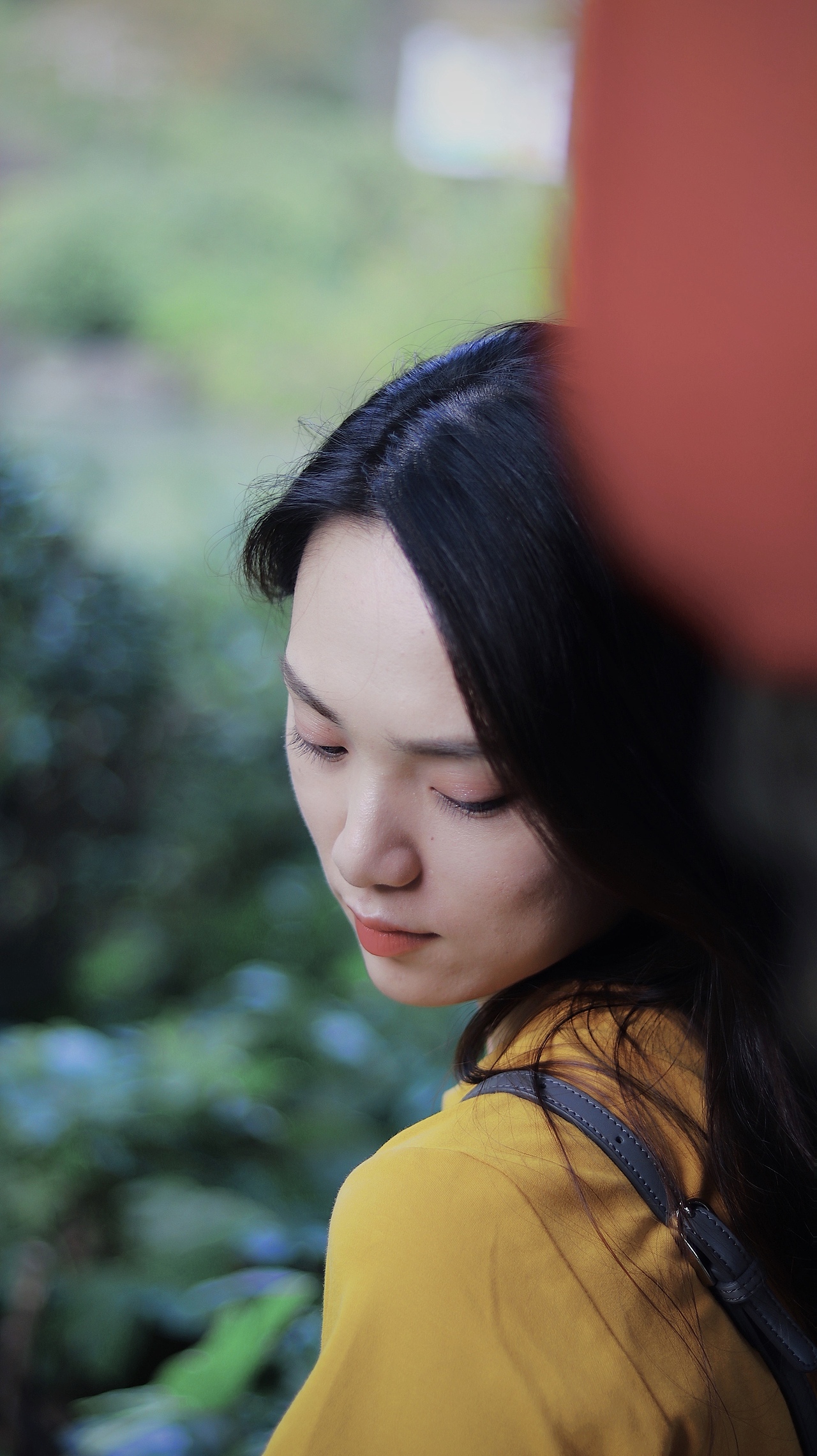 秋天也是绿色的