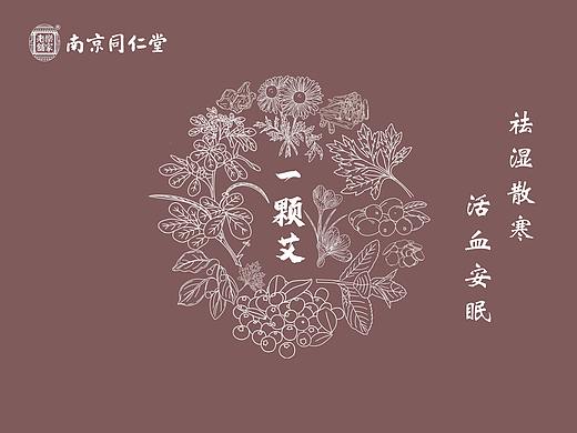 中草药类目线稿包装插画