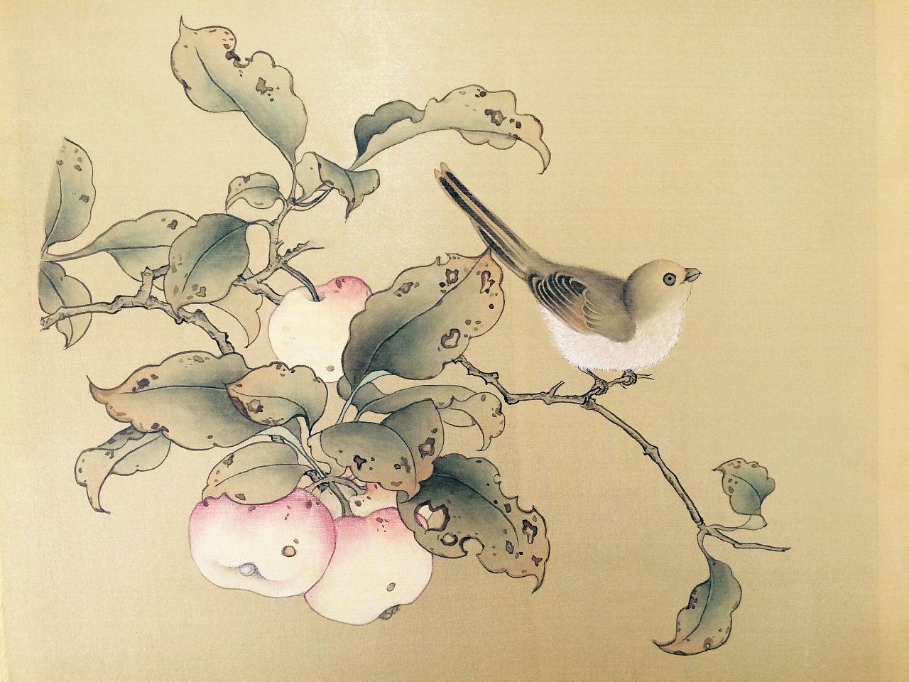 国画工笔临摹练习沧州 |                    