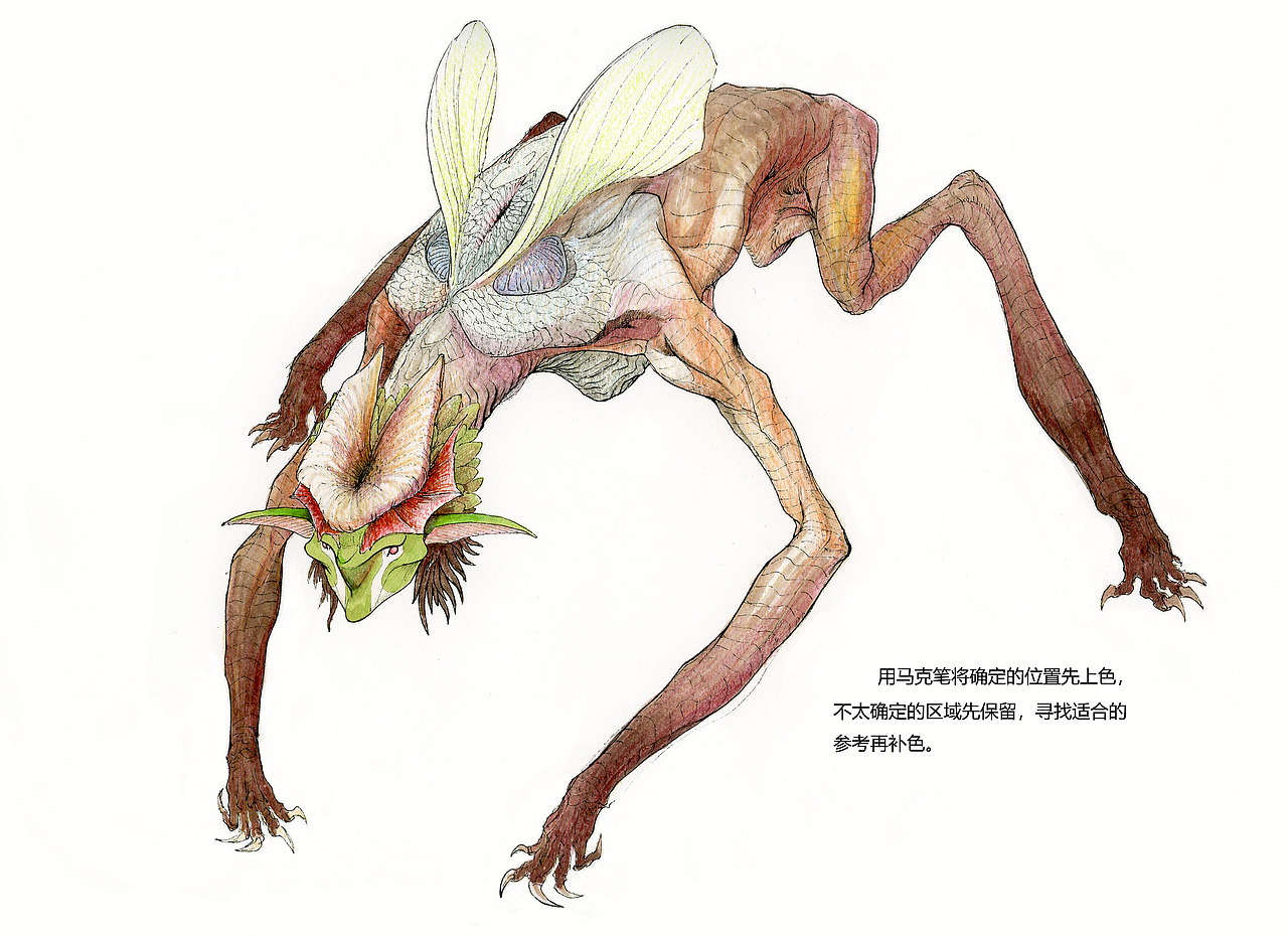 根达亚生物 冯氏 花头背口植兽