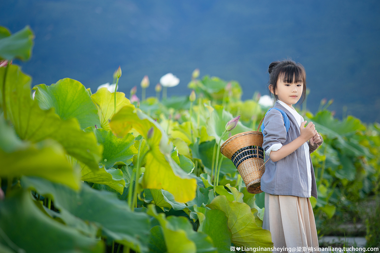 夏荷（图ZMjYyNzk2NjYw） - 人像摄影 - 站酷设计师梁斯楠原创素材 - 站酷ZCOOL