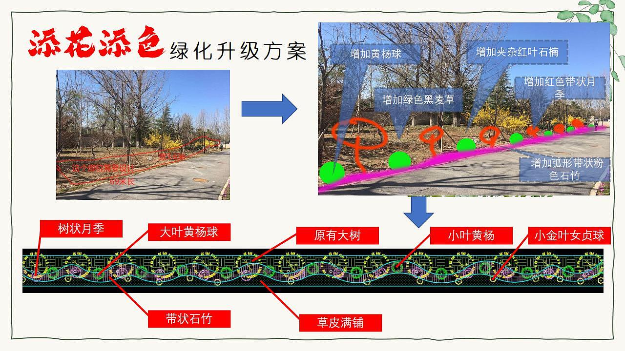 养老院绿化提升