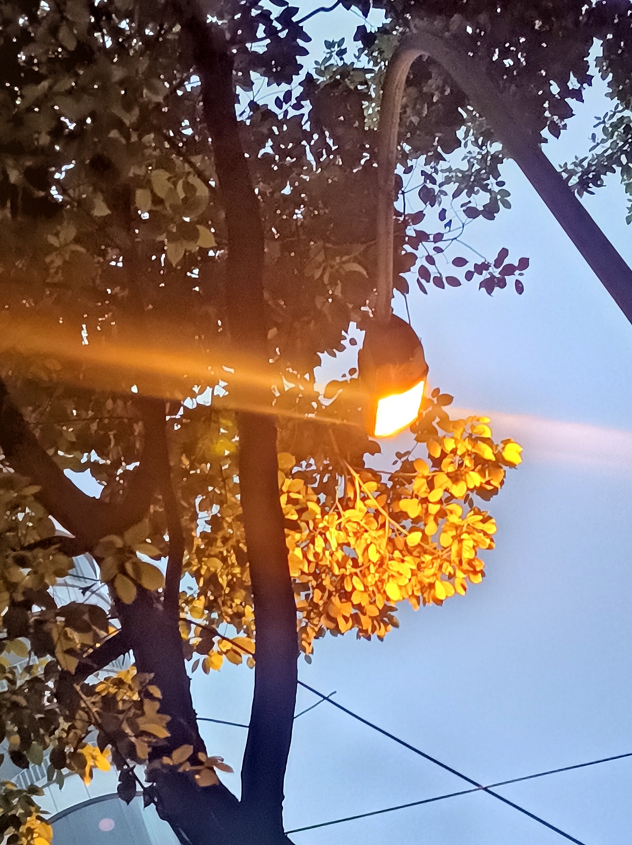 随拍篇·2022.4.1（图ZMjk1NDQwNTMy） - 其他摄影 - 站酷设计师高山流云端原创素材 - 站酷ZCOOL