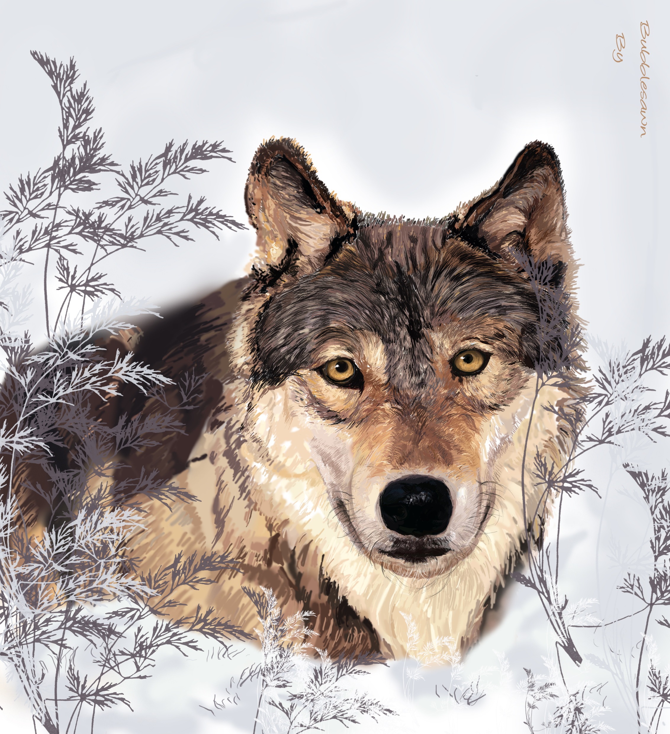 狼|三维|其他三维|bubbleswan - 原创作品 - 站酷 (zcool)