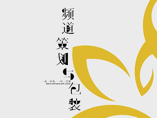 《频道策划与包装》包装手册