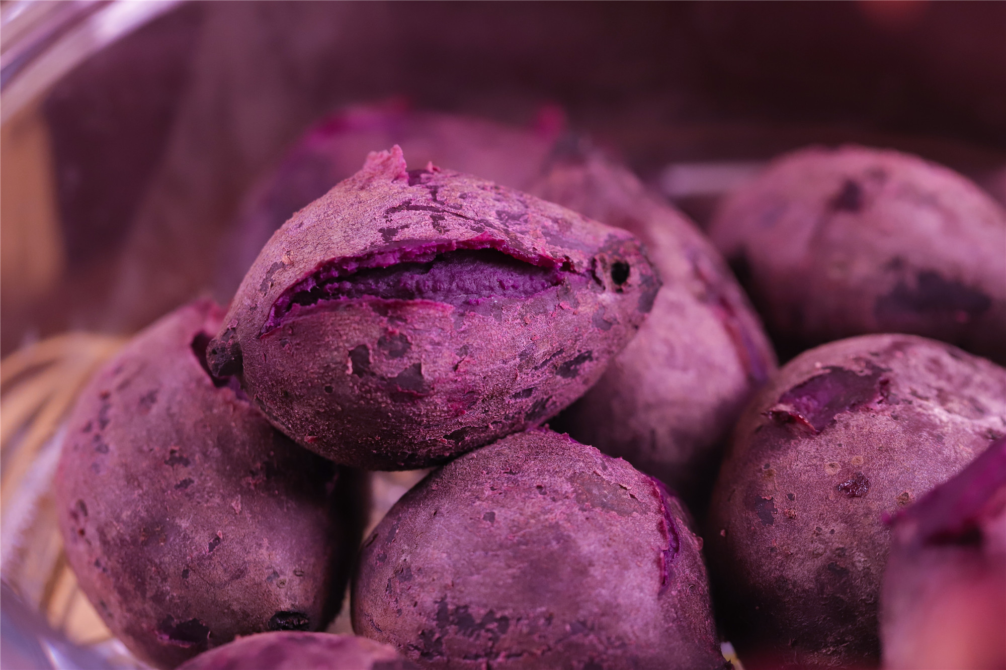 紫薯拍摄