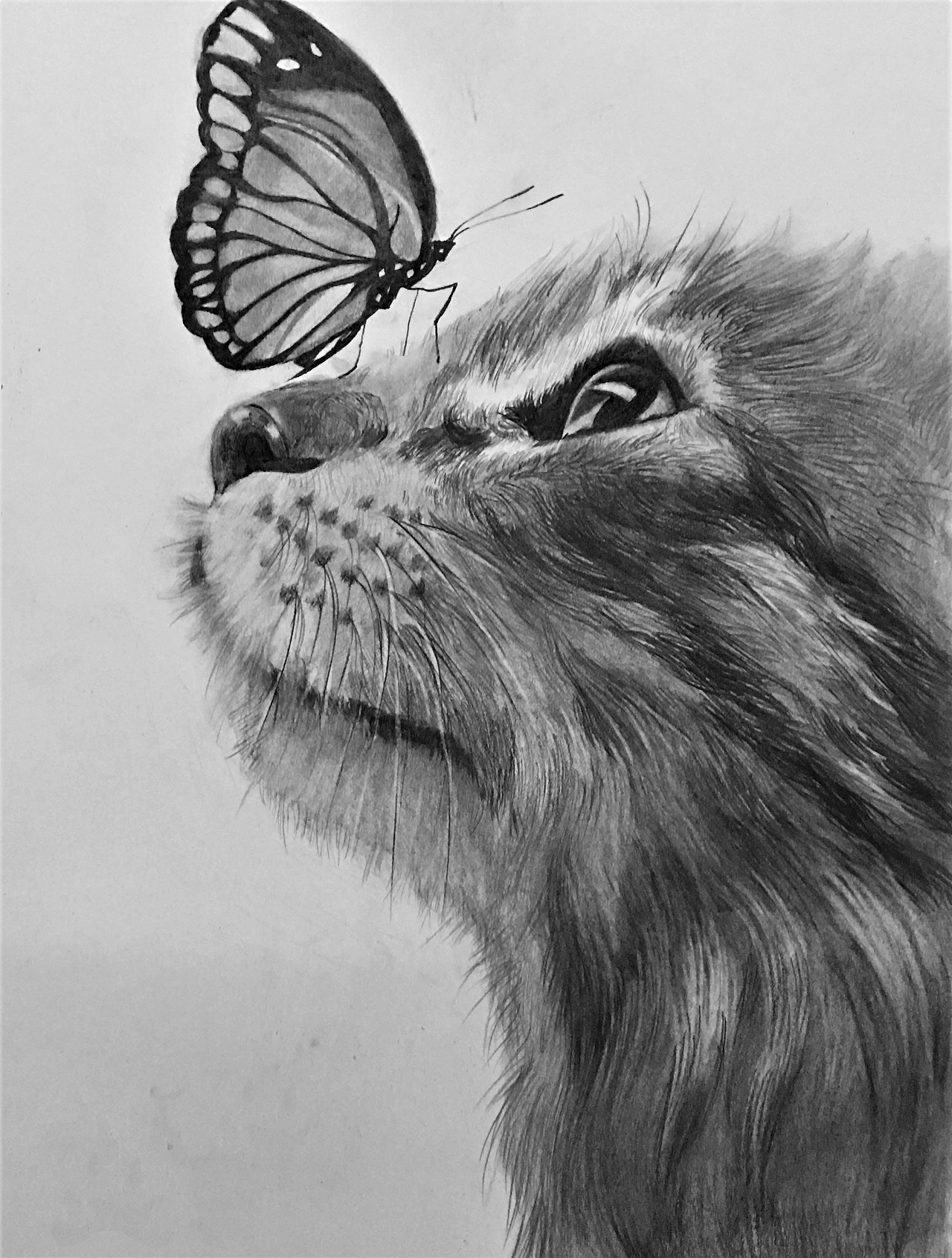 心有猛虎细嗅蔷薇