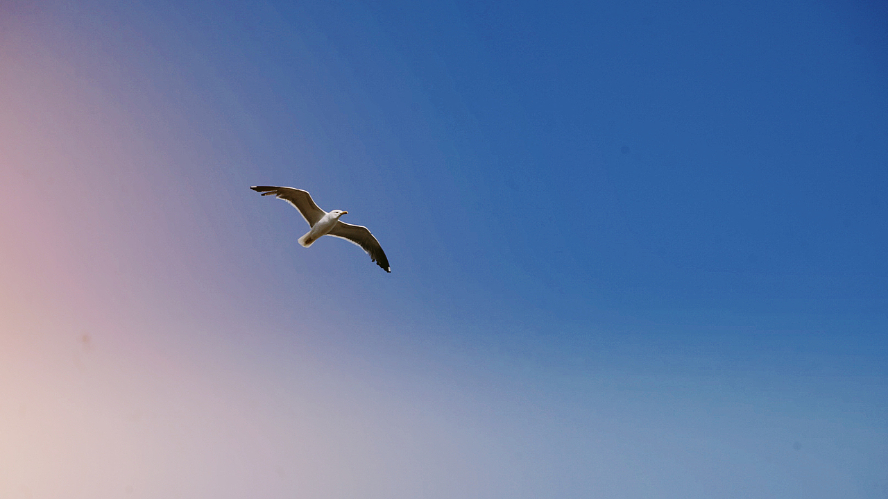 流浪街头——英国人文街景拍摄（图ZMTgxNzI3NTA4） - 人文/纪实摄影 - 站酷设计师鱼炒饭原创素材 - 站酷ZCOOL