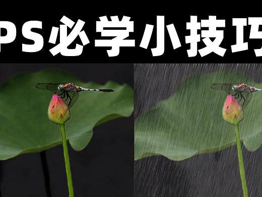 【PS教程】保姆级小白必学小技巧之打造唯美雨景动画