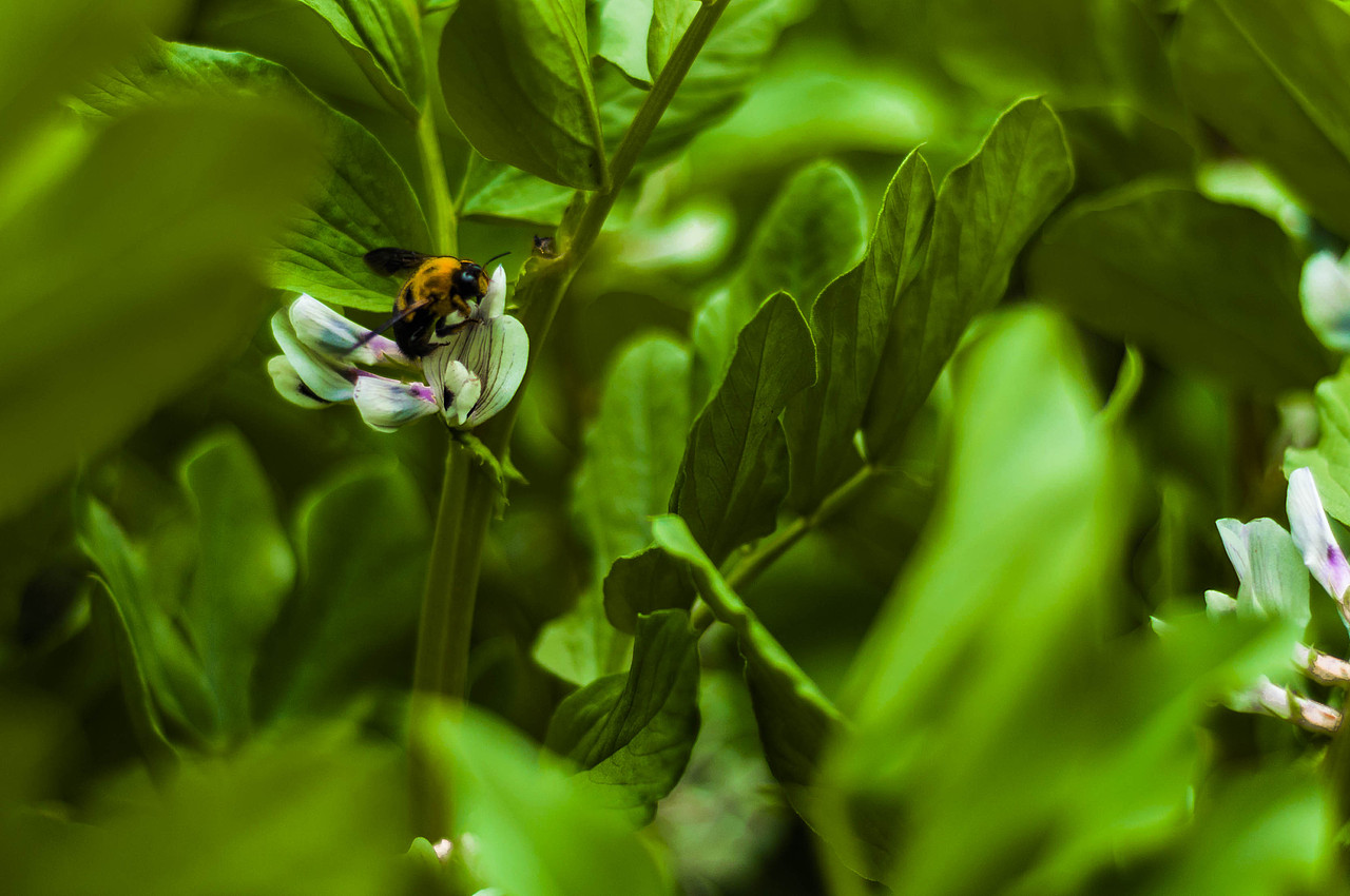 一个叫春的季节～（图ZNzYyNzIwNTY=） - 风光摄影 - 站酷设计师13579air原创素材 - 站酷ZCOOL