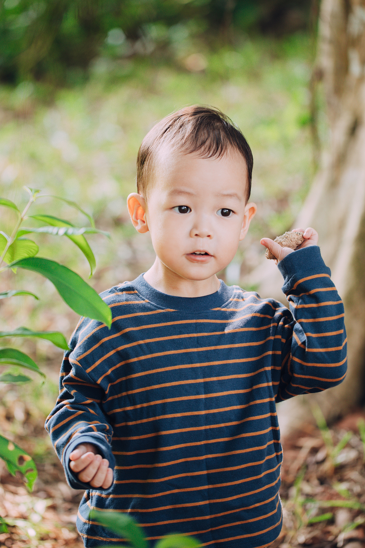 多米不知不觉两岁拉 ｜宝宝成长记录
