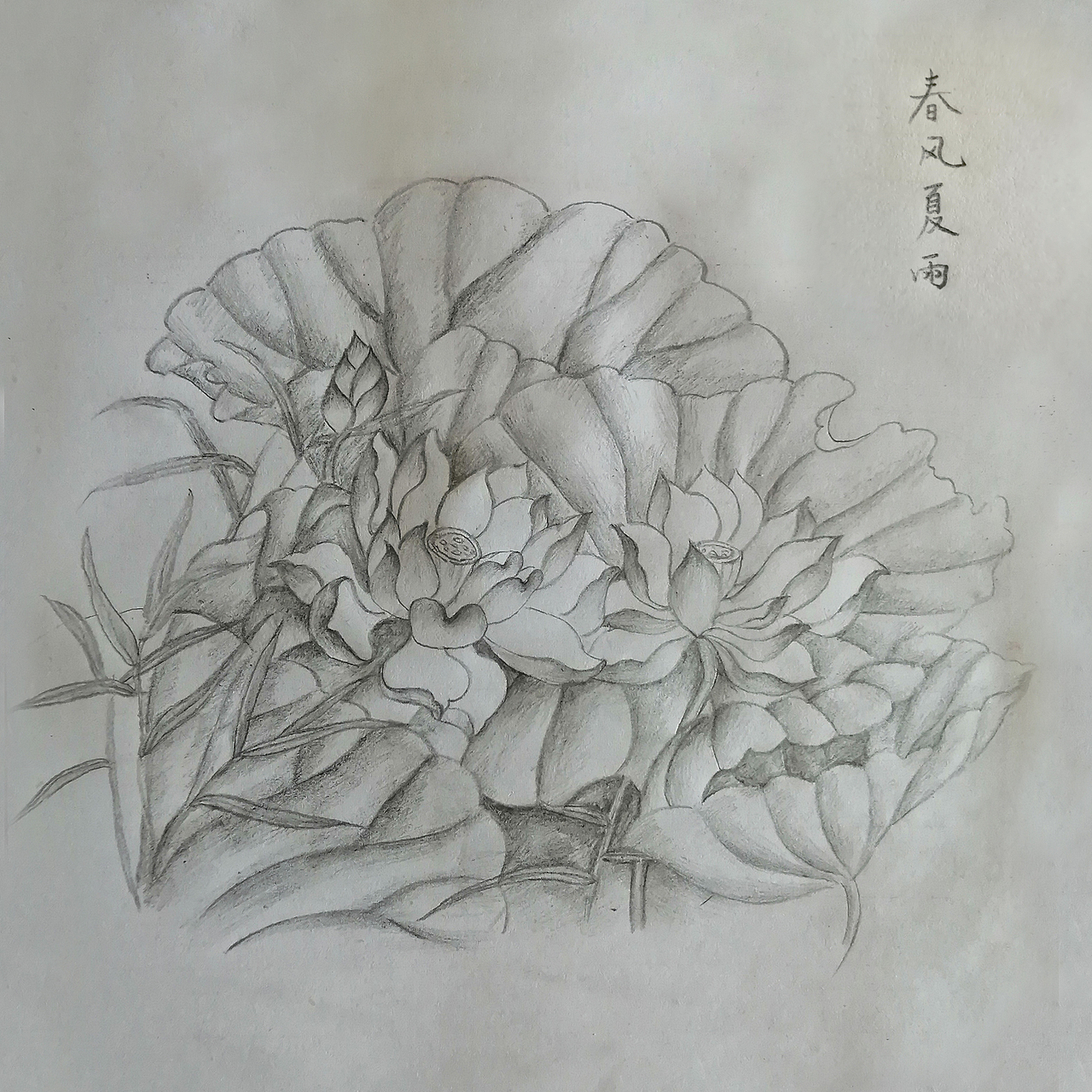 莲花手绘（图ZMjIxMjk3NjQ0） - 绘画 - 站酷设计师云天漫步原创素材 - 站酷ZCOOL