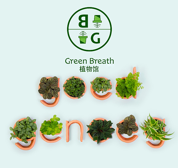 植物馆的logo 名片 折页设计（图ZNTQyMDY4MTI=） - 宣传物料 - 站酷设计师曹惠苗原创素材 - 站酷ZCOOL