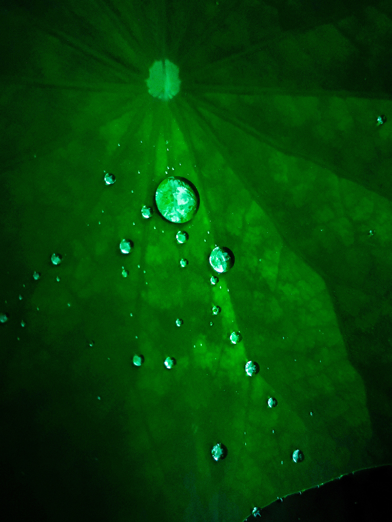 手机随拍~（图ZMTgxMTExNjIw） - 风光摄影 - 站酷设计师祁煜尘原创素材 - 站酷ZCOOL