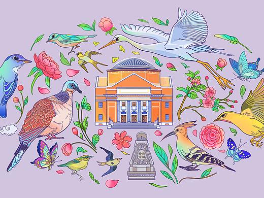 清华园的飞羽精灵