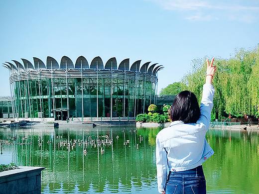 关于我的这4年【翘翘日志】