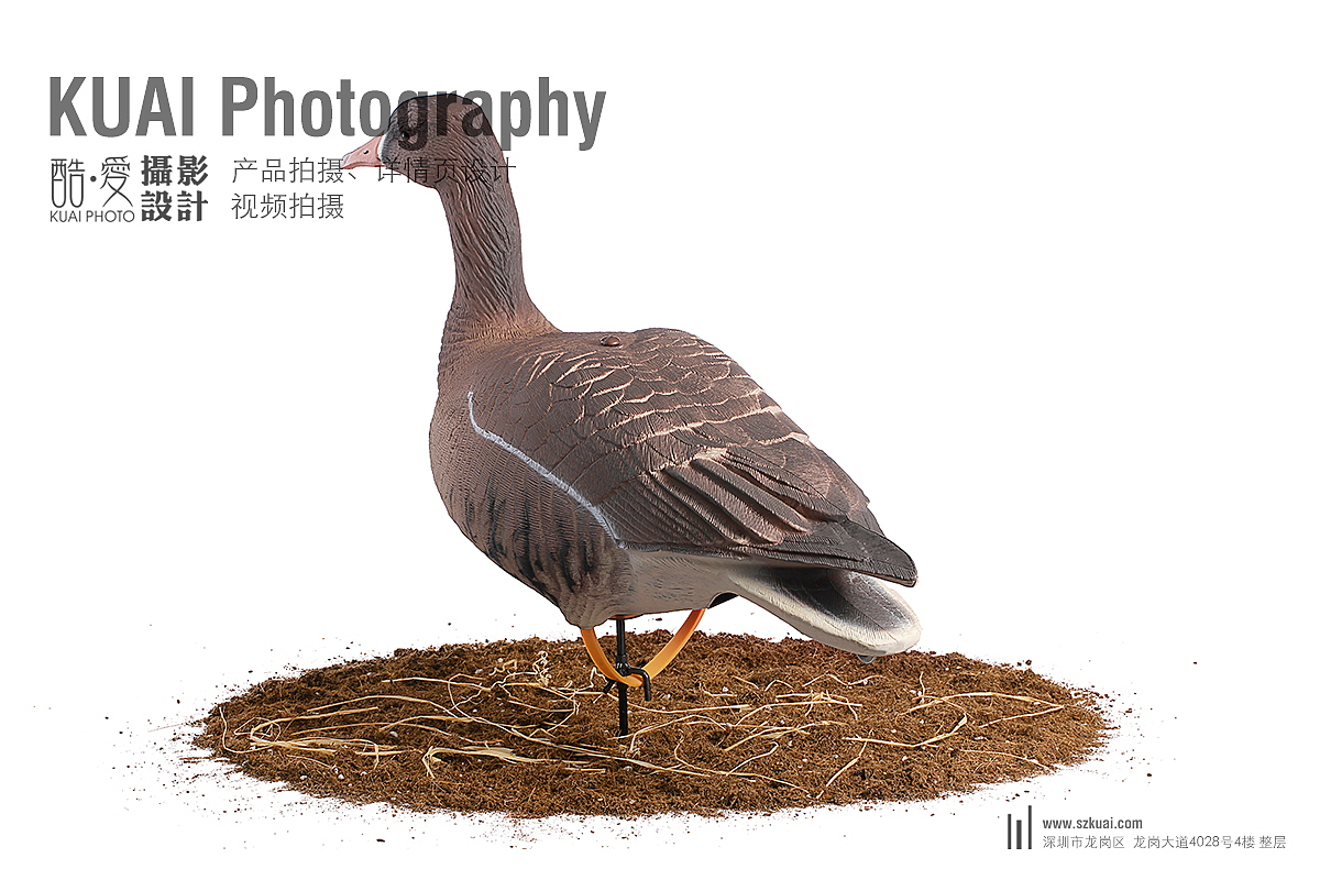 深圳产品拍摄 龙岗打猎产品图片拍摄 东莞鸭子大雁拍摄