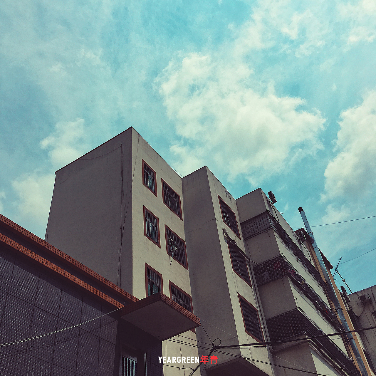 iPhone摄影 · 所见