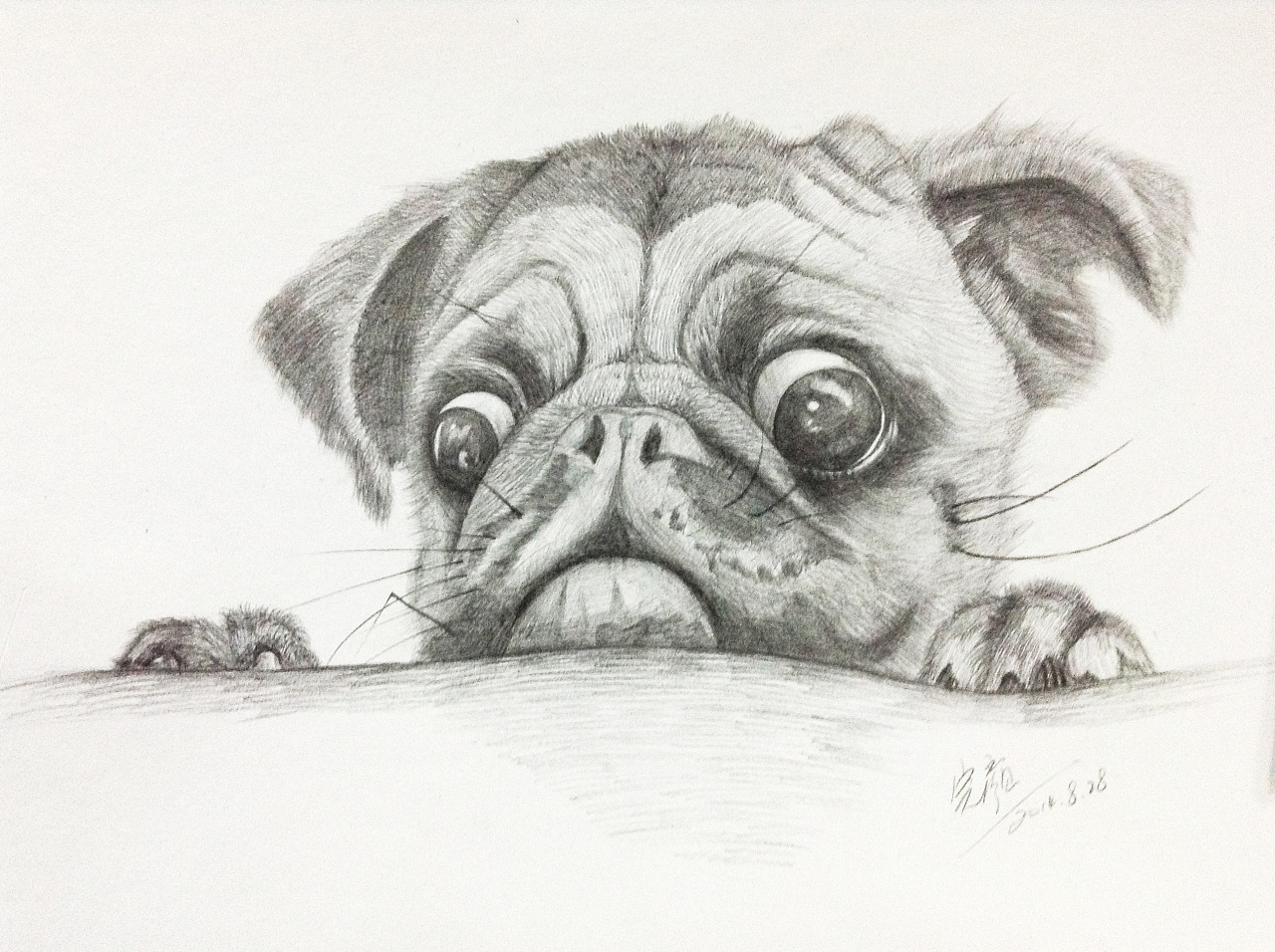 铅笔手绘 一只可爱的小狗狗