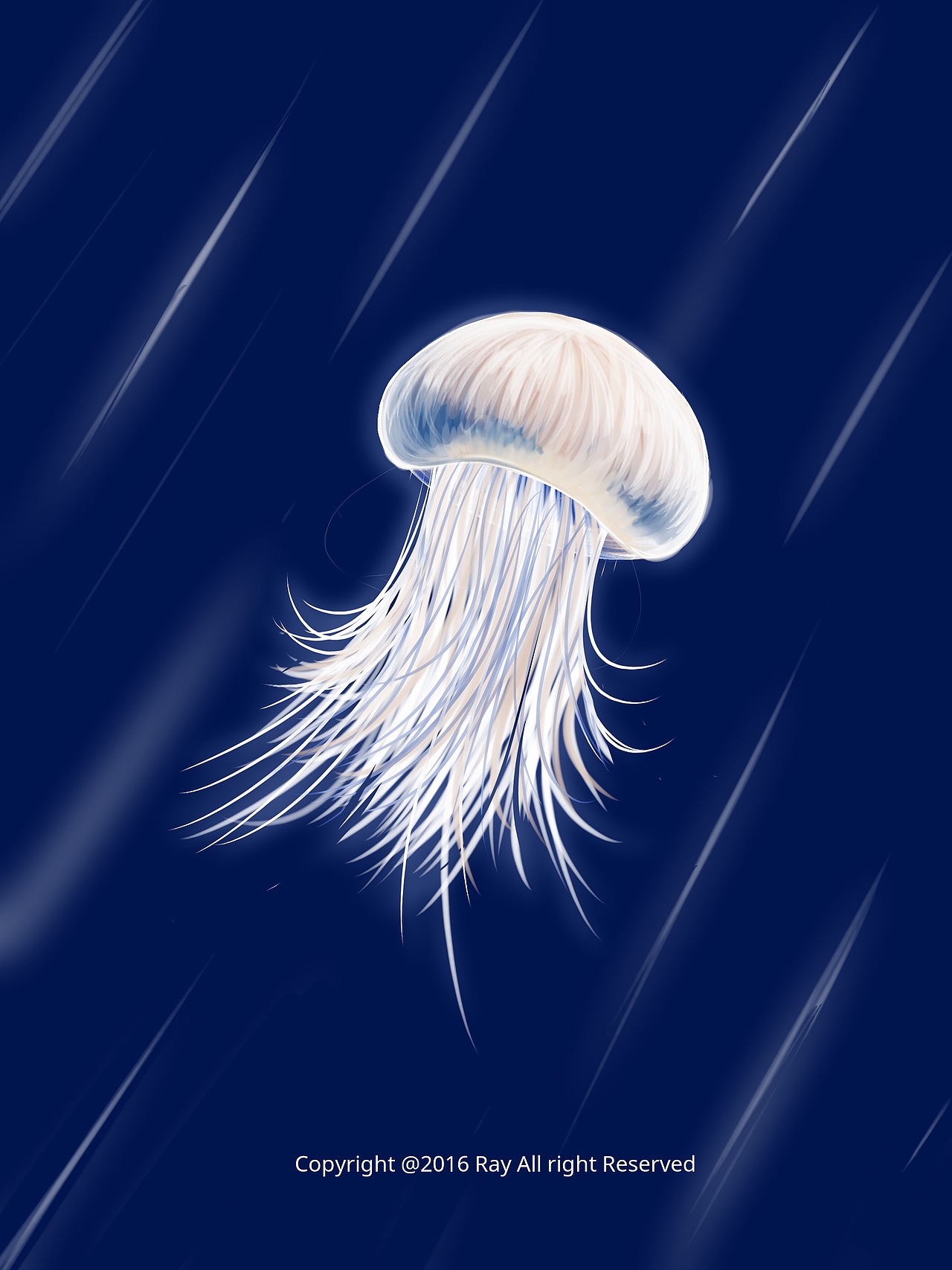 原创作品 水母写实