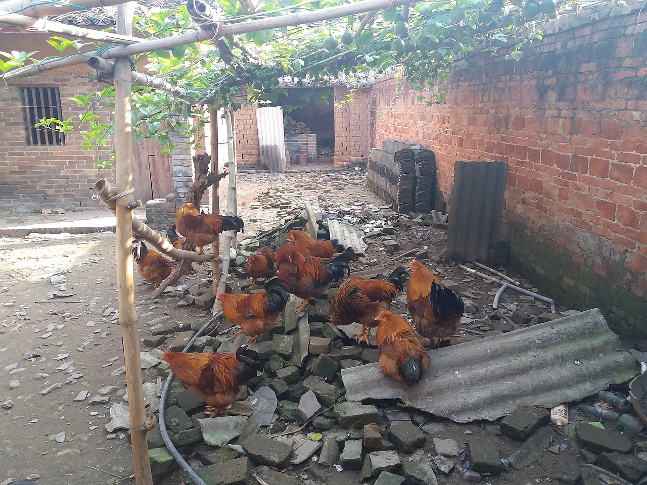 暴晒（图ZNzc0NjMxNjg=） - 其他 - 站酷设计师qiuwanxiao原创素材 - 站酷ZCOOL