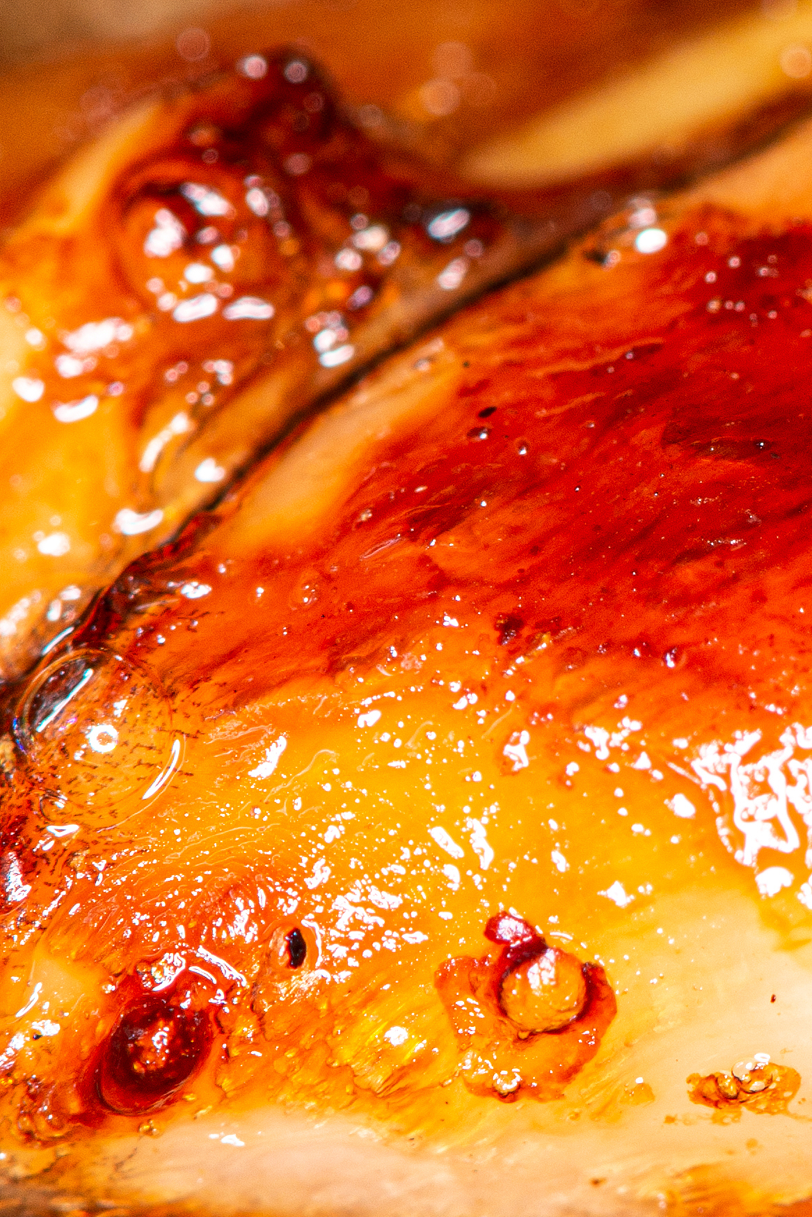 微观下的烧烤（图ZMjc1NTgwNDk2） - 美食摄影 - 站酷设计师喜马拉雅阿飞哥原创素材 - 站酷ZCOOL