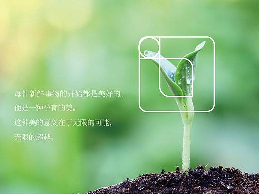 拾月创意案例 | 天地海胶品牌形象设计