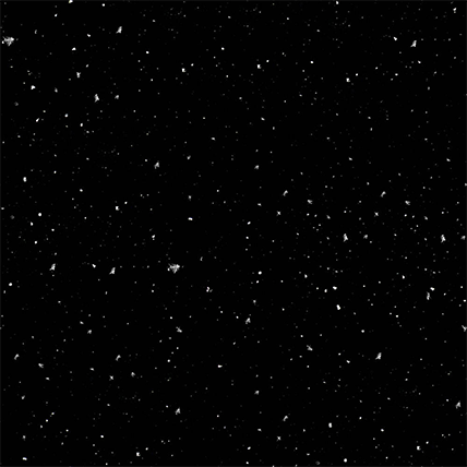 小良xl的个人主页（背景预览） - 主页背景设置 - 站酷设计师小良xl原创素材 - 站酷ZCOOL