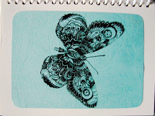 butterfly系列综合练习