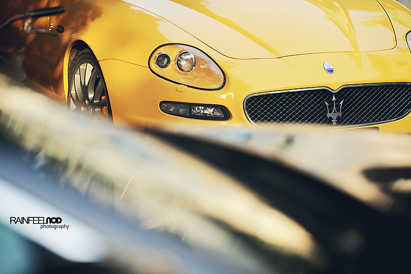 血脉传承 Quattroporte