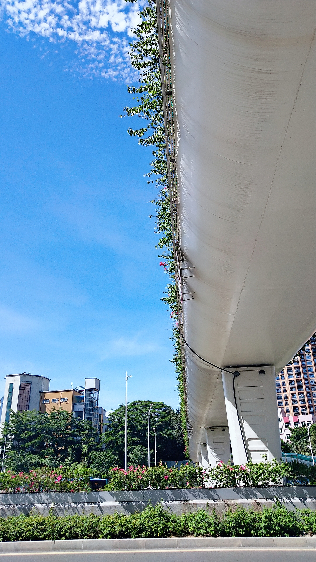 云天墨☁️更05