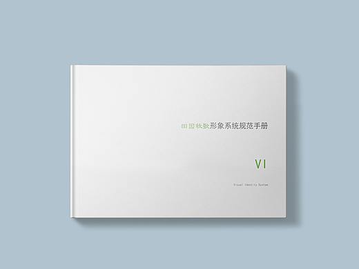 VI手册