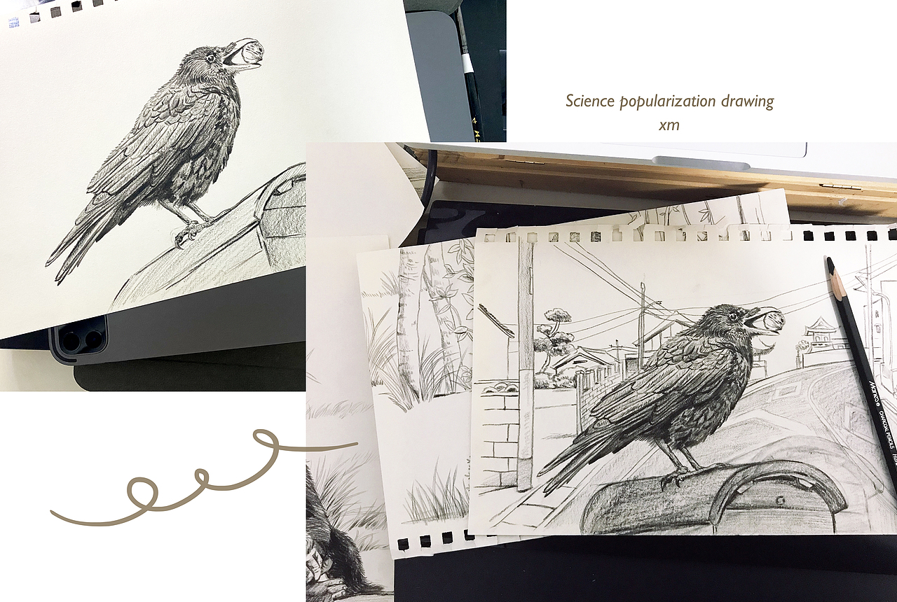 科普插画｜披上动物的外衣 