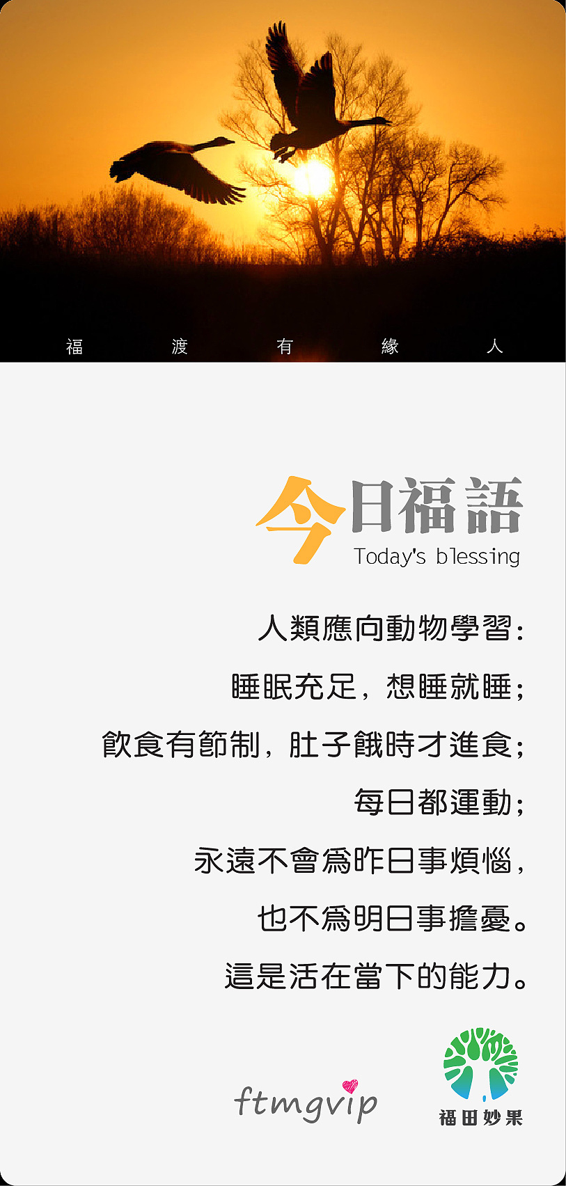 《福田妙果》微信小海报设计第二季。