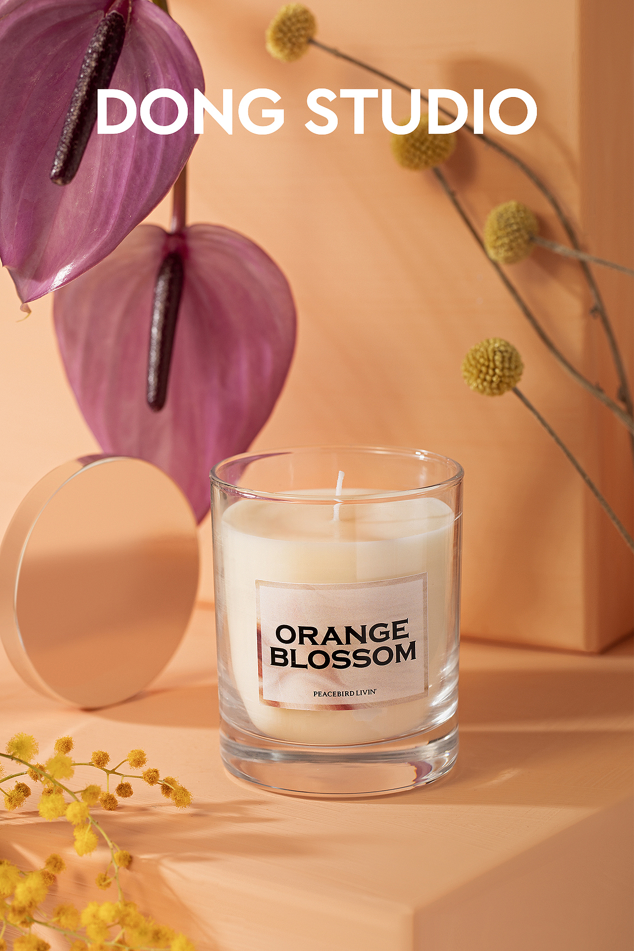 PEACEBIRD LIVIN' 静物拍摄案例（图ZMjQyMDQxMjg0） - 产品摄影 - 站酷设计师歷歷皆糊塗原创素材 - 站酷ZCOOL