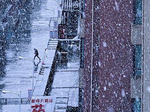 玫瑰