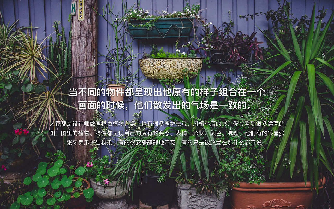 Raputa花园市集企业品牌形象（图ZMjM3MzM1NDAw） - 品牌 - 站酷设计师aime_chan原创素材 - 站酷ZCOOL