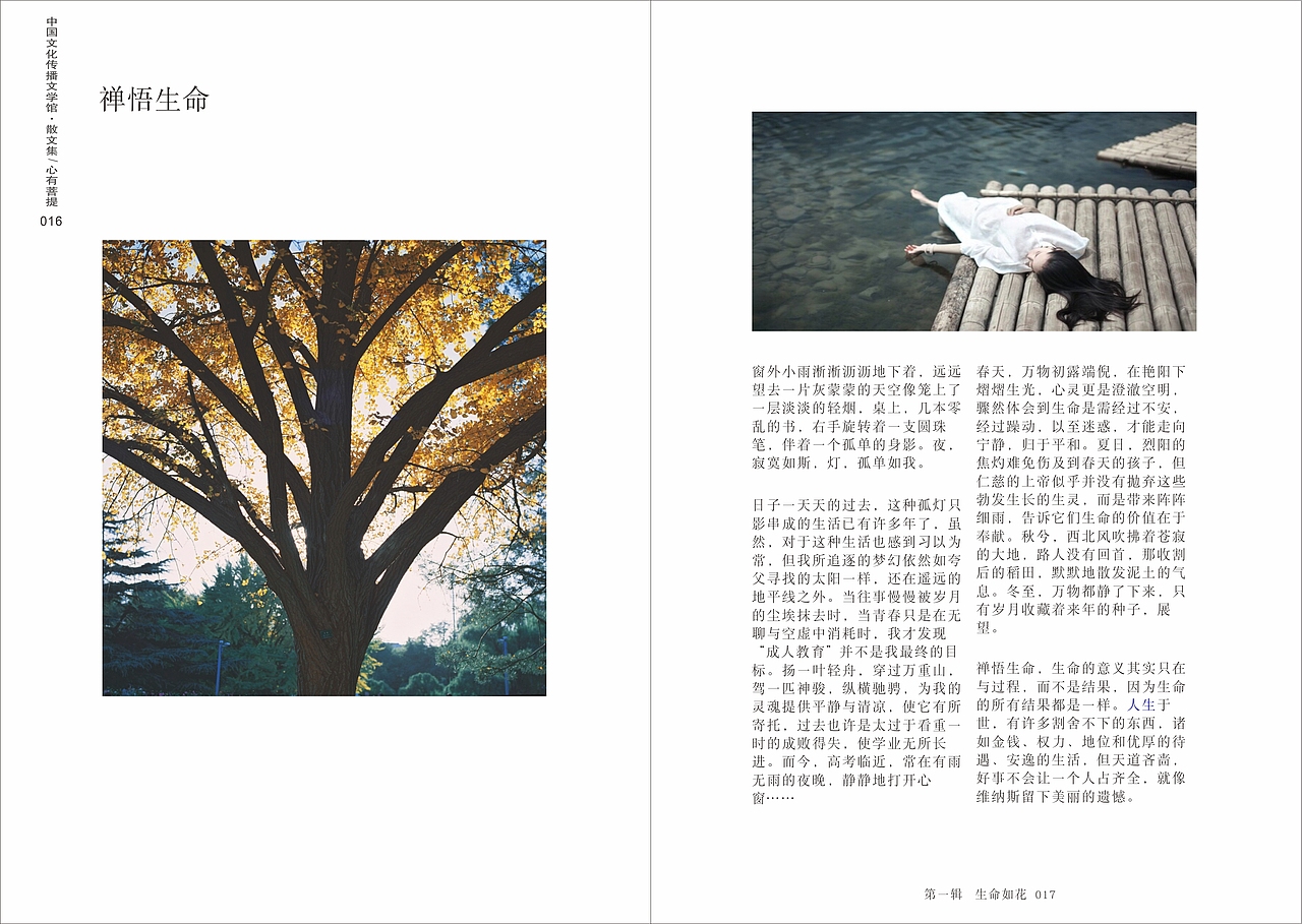 心若菩提书籍装帧设计（图ZODU0NTQ0ODg=） - 书籍/画册 - 站酷设计师乖小猫咪朵朵莱原创素材 - 站酷ZCOOL