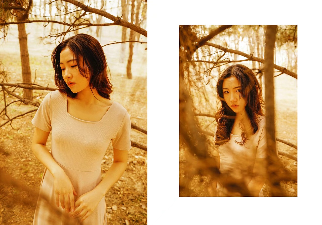 一组“小黄片”