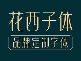 品牌LOGO VIS