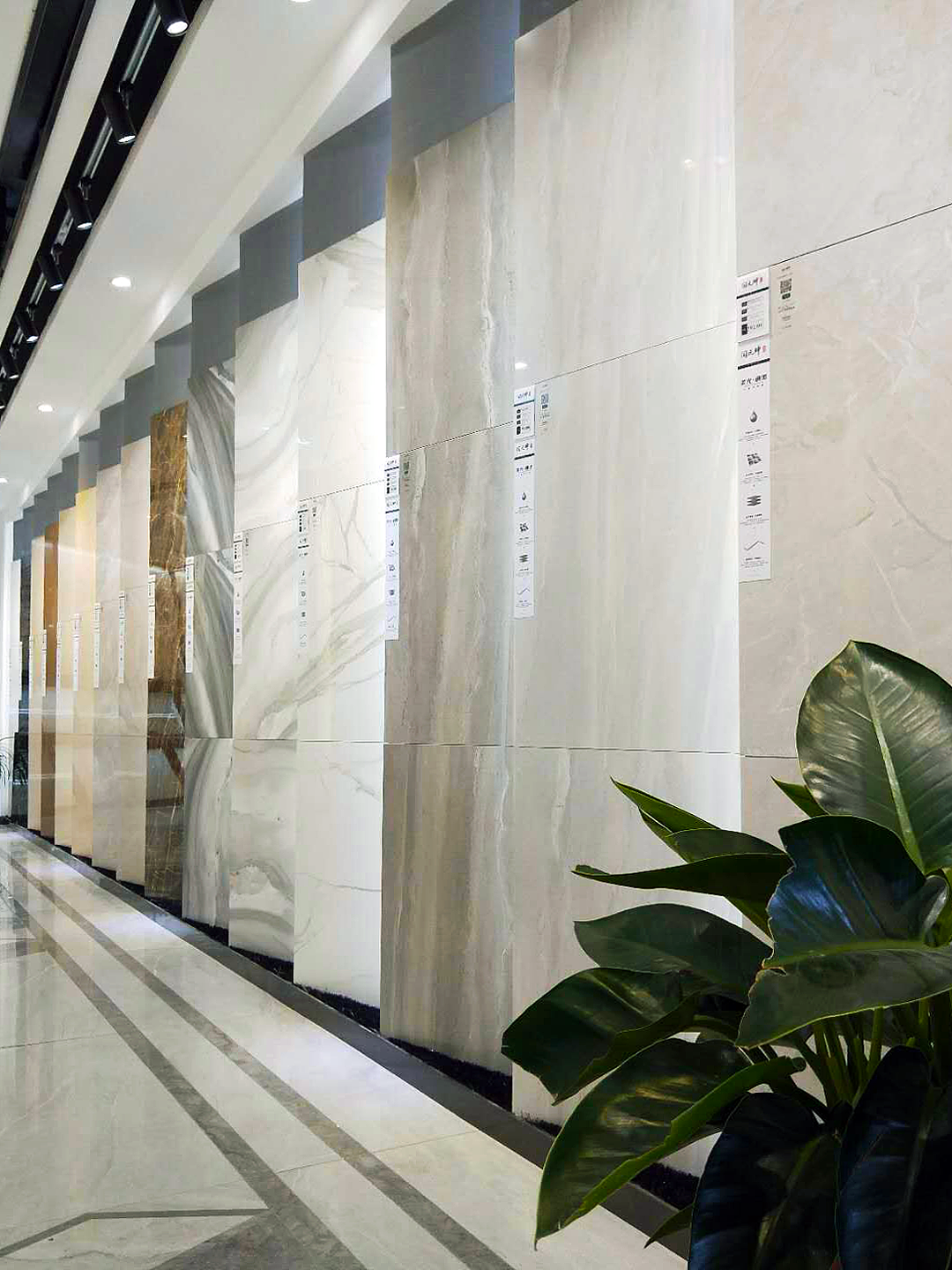 陶元帅&陶元帅门店摄影-西安店