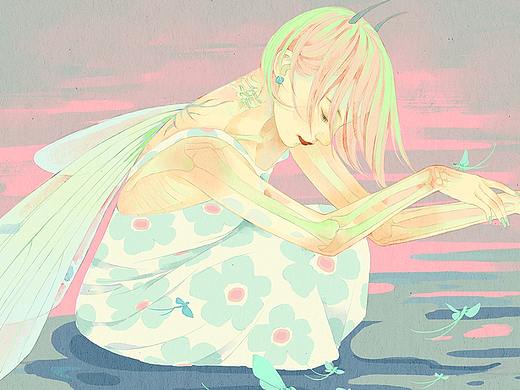 蜉蝣