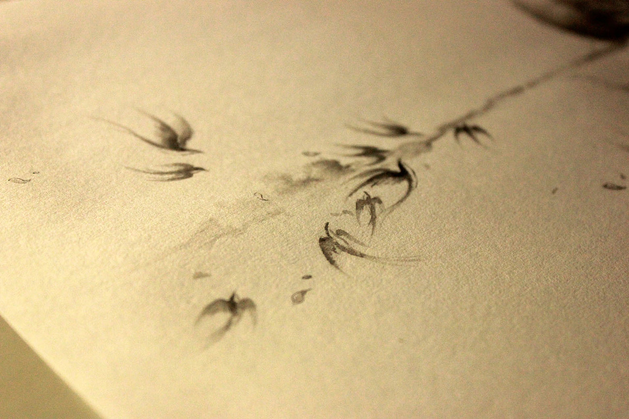 最近对燕子也是情有独钟啊~